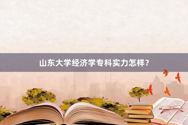 山东大学经济学专科实力怎样？