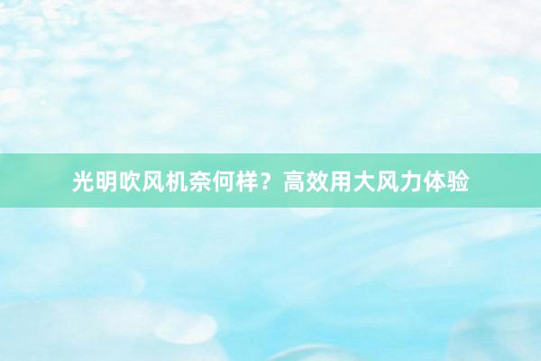 光明吹风机奈何样？高效用大风力体验